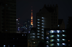 2013年3月26日東京タワー