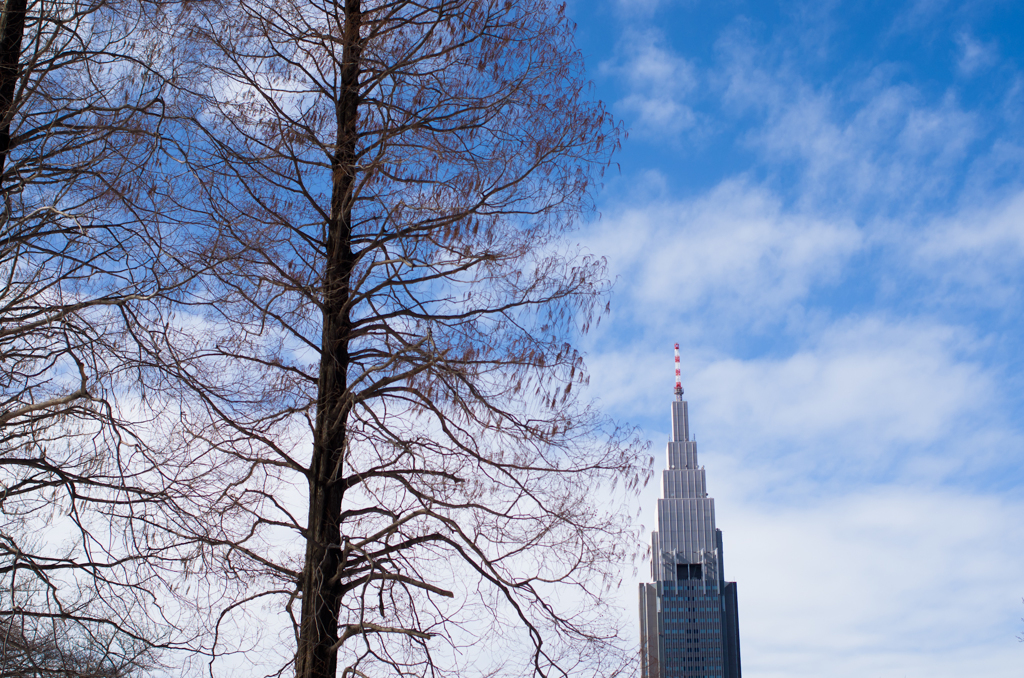 2014年2月9日_新宿御苑