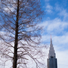 2014年2月9日_新宿御苑