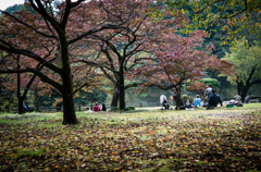 2015年10月18日_新宿御苑
