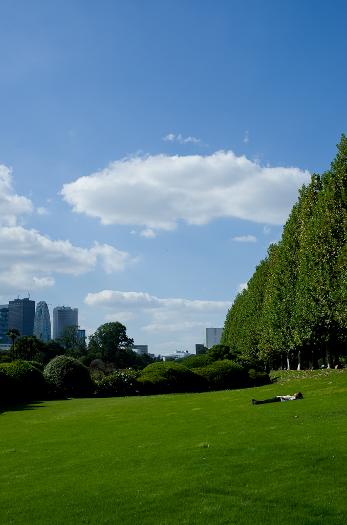 2013年9月29日_新宿御苑