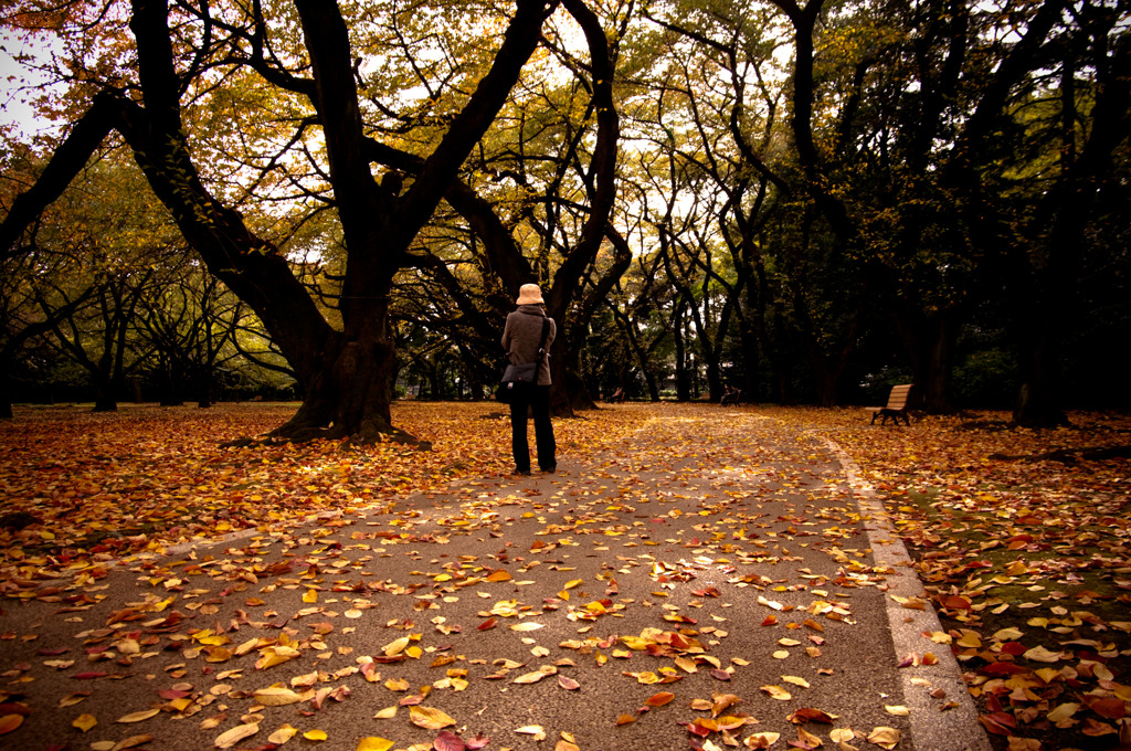 2010年11月_新宿御苑_12