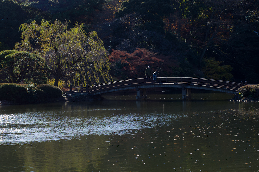 2012年12月16日_新宿御苑