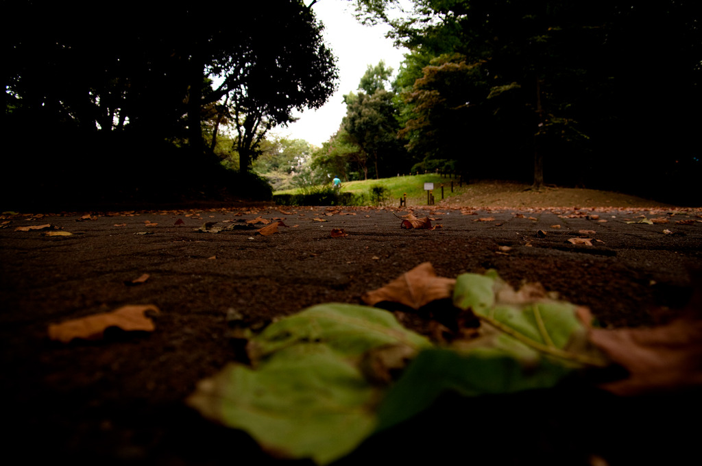 蚕糸の森公園2
