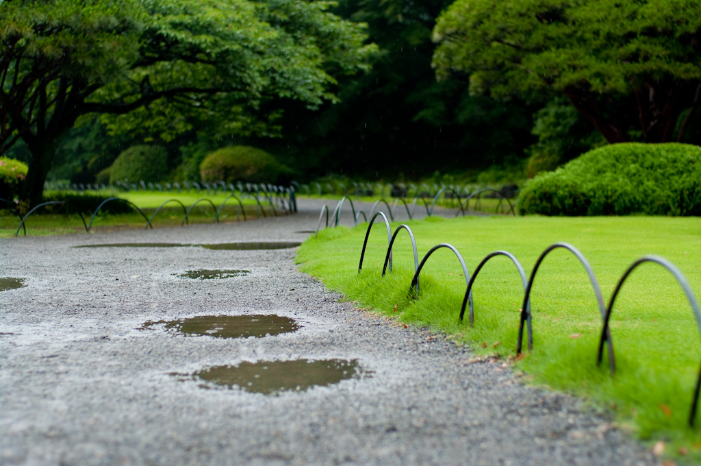 雨の新宿御苑