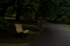 2013年5月11日_新宿御苑