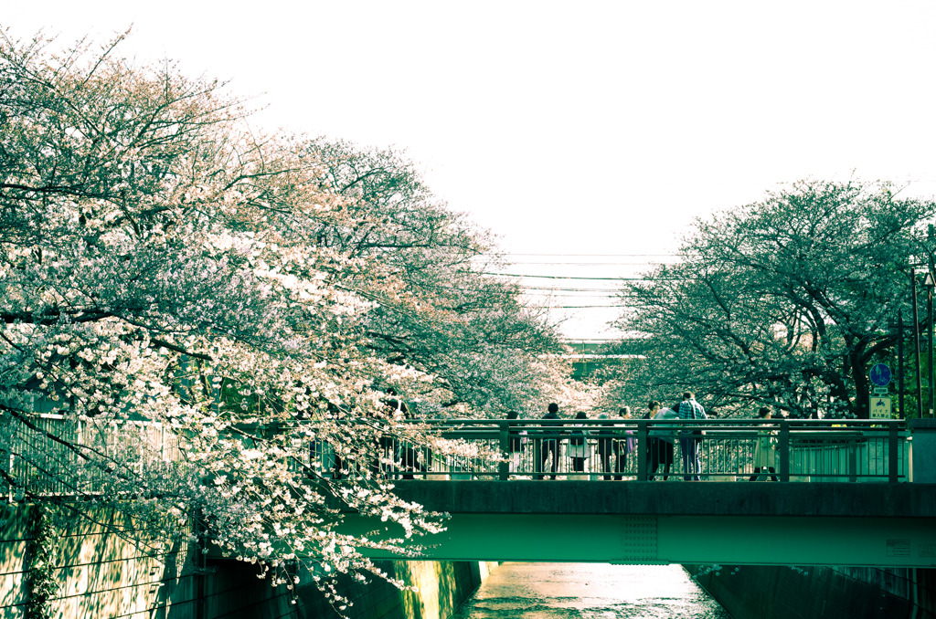 2015年03月28日_東中野