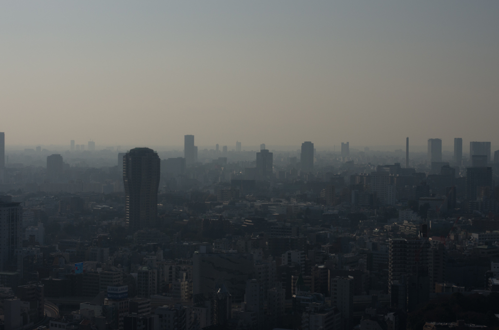 2014年12月31日_東京タワー