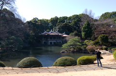 2013年2月24日_新宿御苑