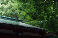 2015年07月18日_日枝神社