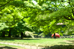2013年4月28日_新宿御苑