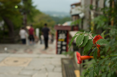 2013年7月13日_伊香保温泉