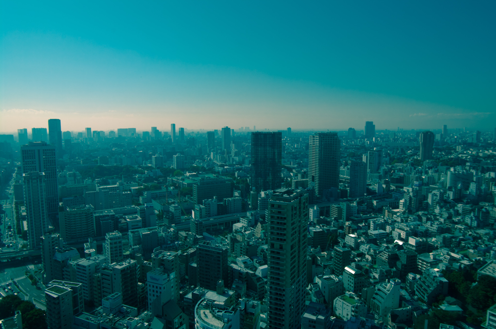 2010年11月06日_東京タワー