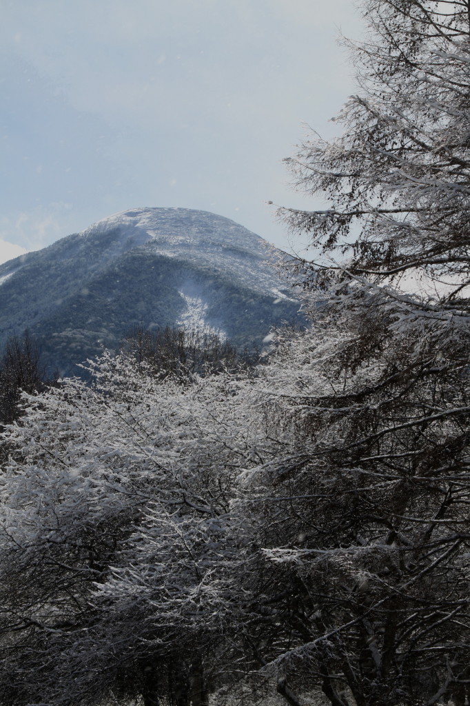 蓼科山