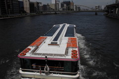 The Sumida River