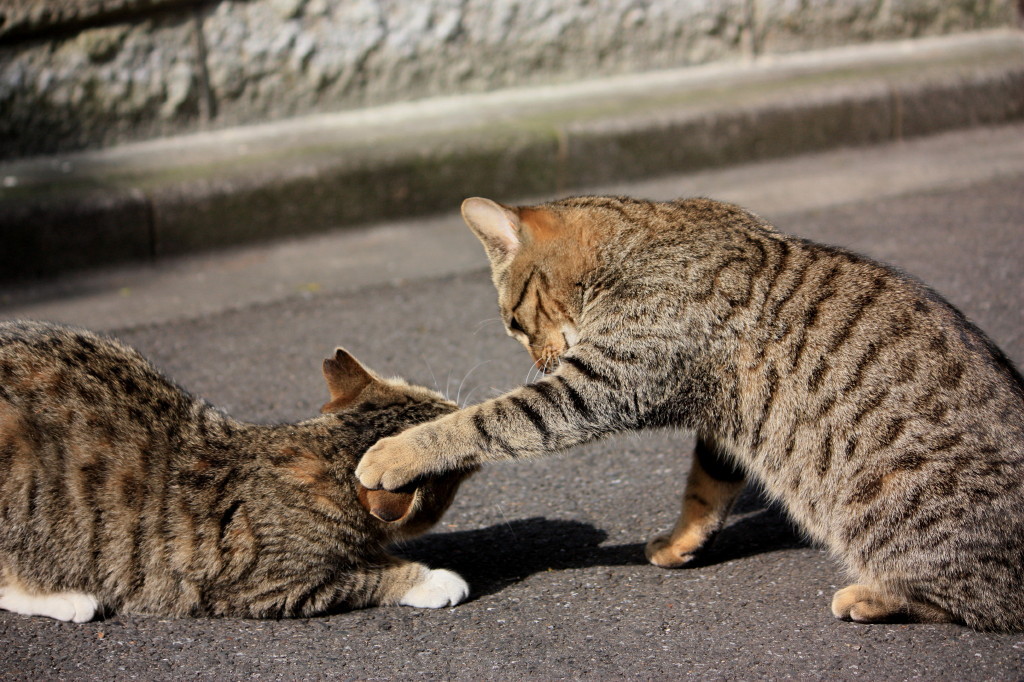 ごあいさつ