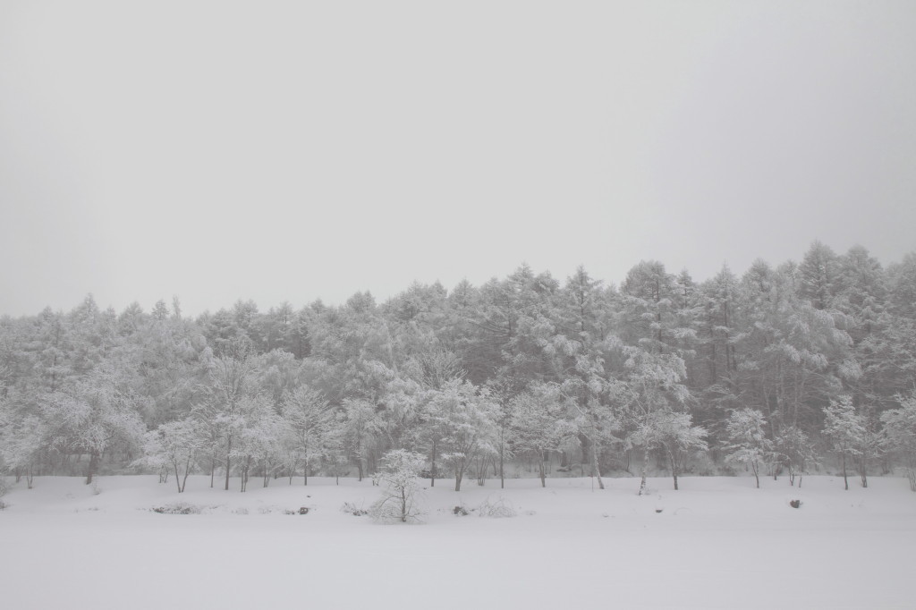 氷雪の湖