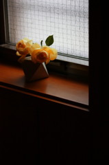 窓辺のバラ