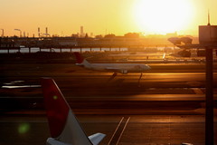 日没間近の羽田空港