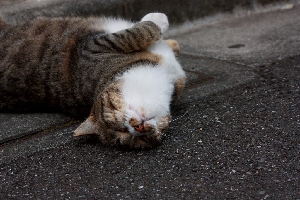 うーん