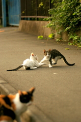 10-09-14  istDs2 044