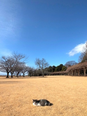 14-01-26    X-S1 149