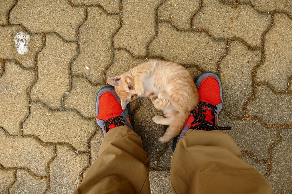 15-05-03    FZ-1000 040