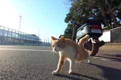 ん～～～っ。