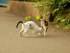 10-09-14  istDs2 050