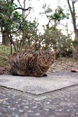 ちどり公園09-12-13  K200D 007