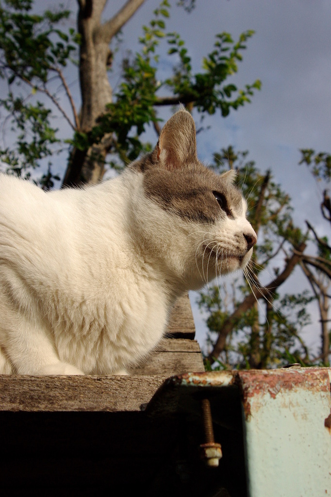 ちどり公園09-12-13  K200D 160
