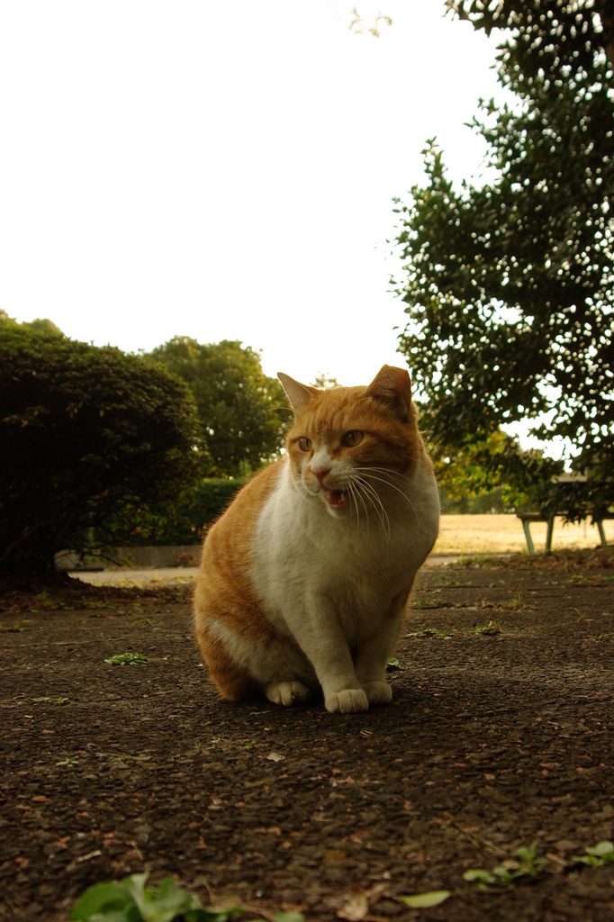 ちどり公園09-12-13  K200D 144