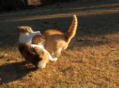 13-12-28    X-S1 125