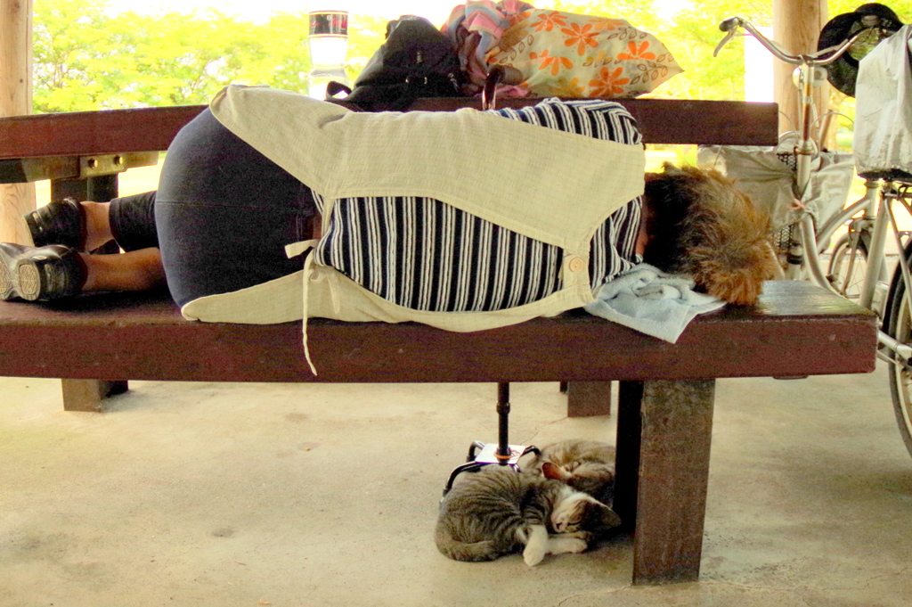 おばちゃんと昼寝