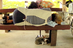 おばちゃんと昼寝