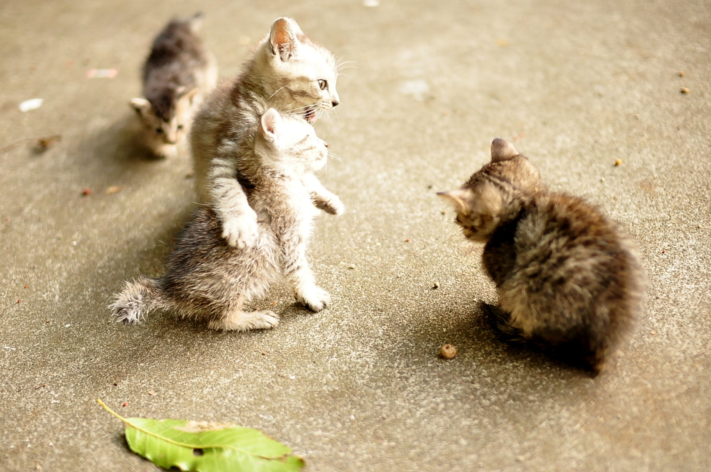 おこられた・・・・・