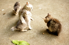 おこられた・・・・・