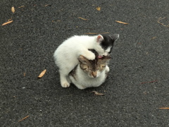 親子