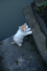 09-6-7  α-7digital 549