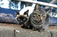 15-02-14    D300s 013