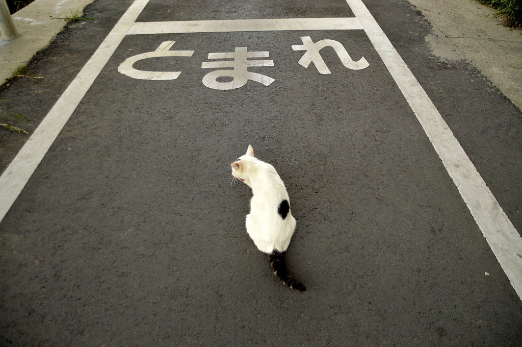 とまれ