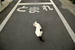とまれ