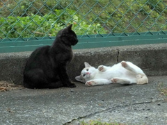 13-10-19   X-S1-2 017