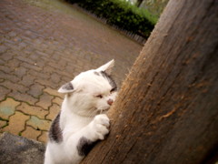 考える・・・・・