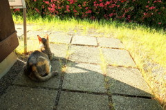 母ちゃん休憩中