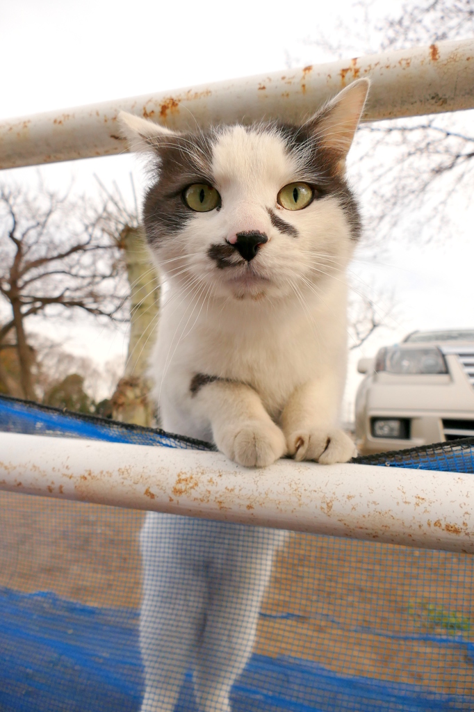 ふんふん、それで？