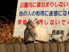 13-12-07    X-S1 068