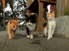 はい、ポーズ！