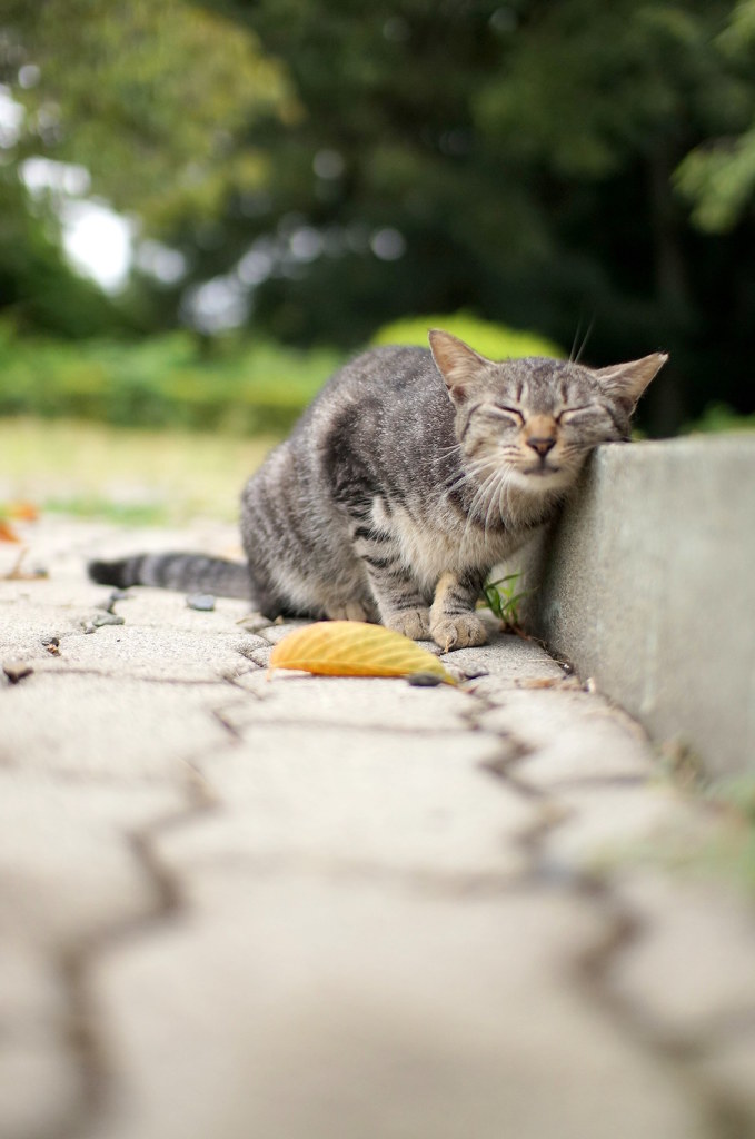 15-08-13    α57 063