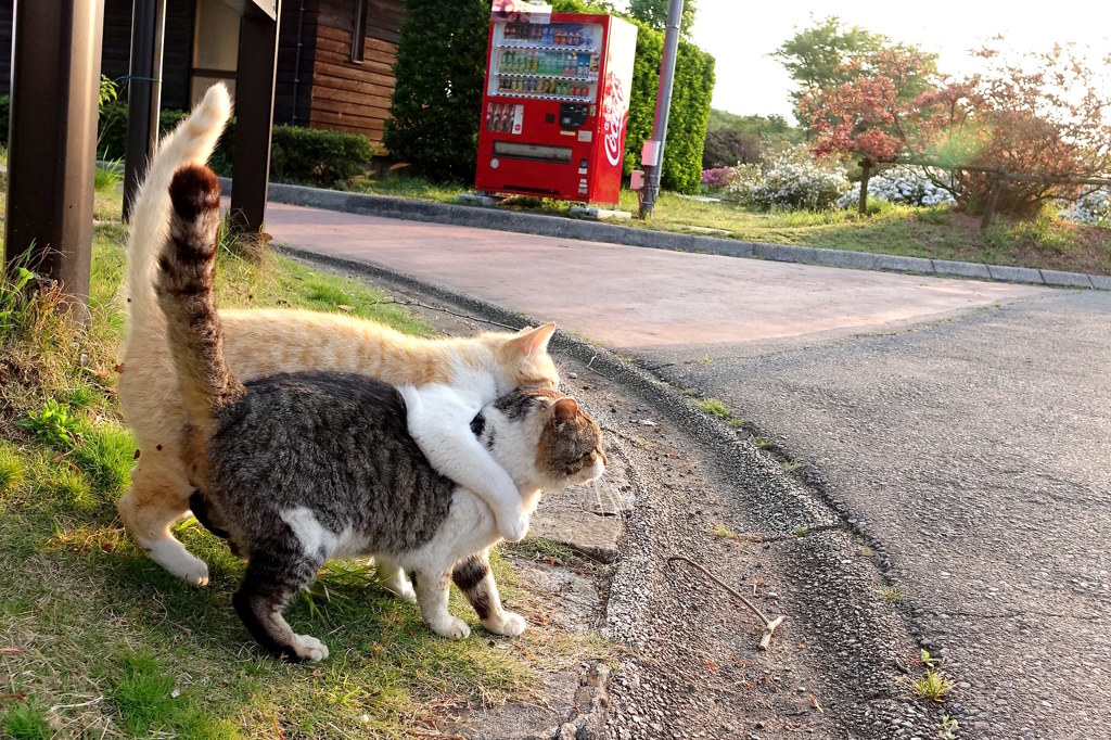 父ちゃん大好き。